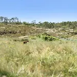 580-thisted-gaeslingevej-5 בית נופש *