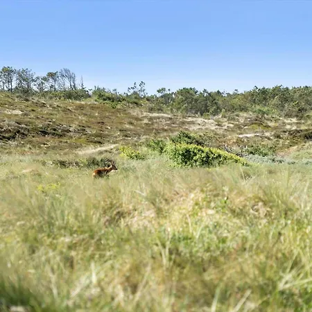 580-thisted-gaeslingevej-5 Prázdninový dům *